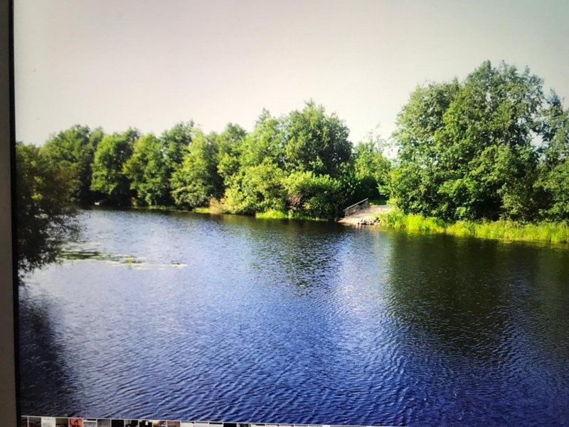 Река Паша в Ленинградской области рыбалка