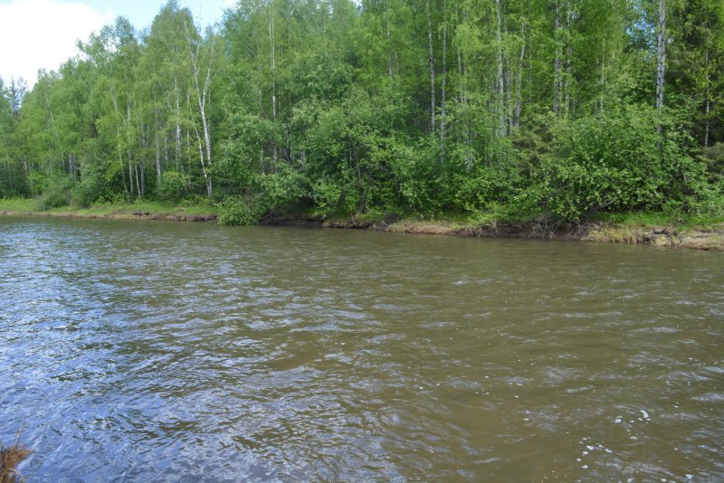 Река сухая Ольховка Нижний Тагил