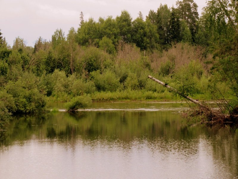 Река Шегультан Свердловская область
