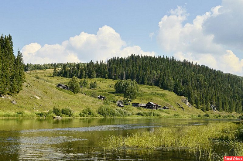 Река Колва Пермский край