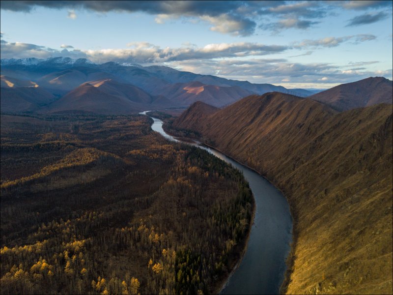 Река Анюй Хабаровский край с дрона