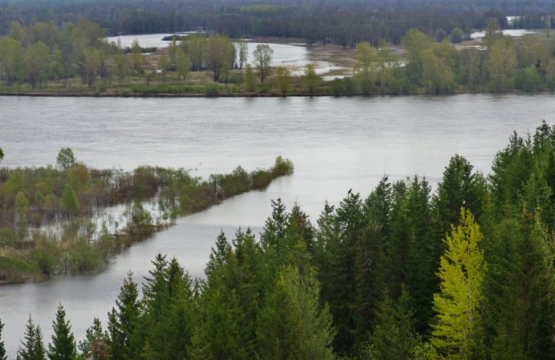 Река Шошма Кировской области