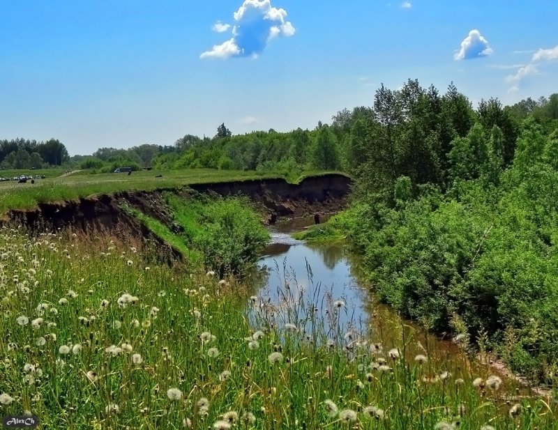 Река Арборка Татарстан