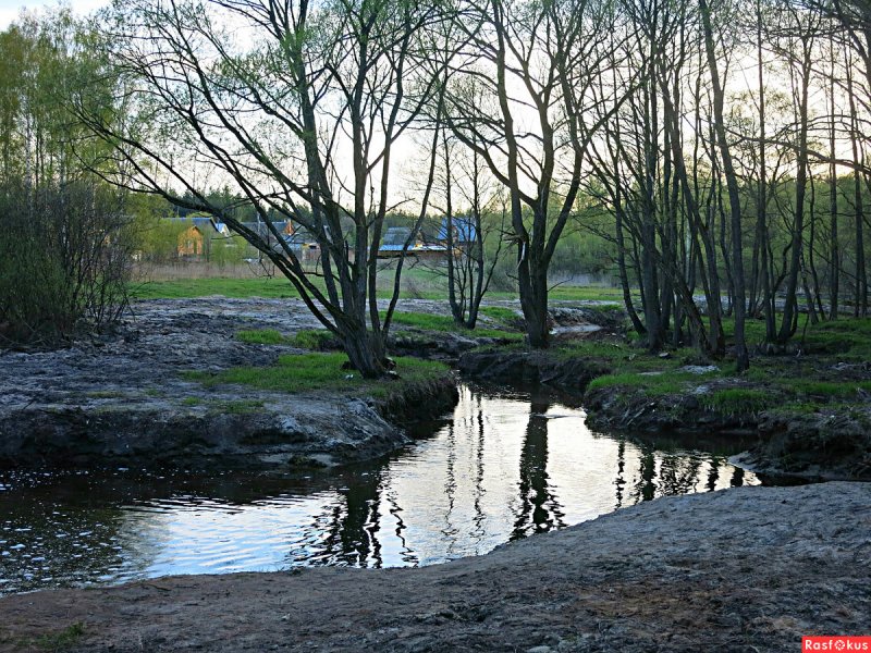 Река Шувойка в Московской области