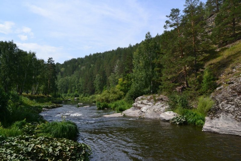 Река Сакмара Башкирия
