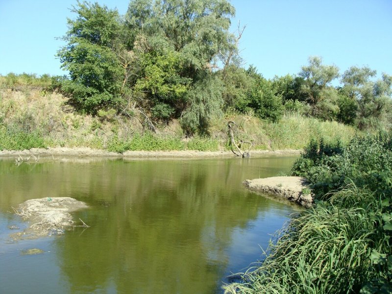 Река сал Орловка