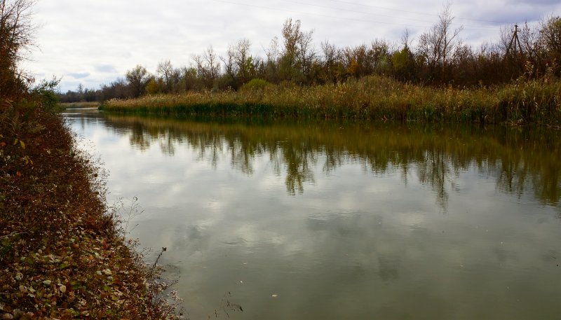 Река сал Ростовская область
