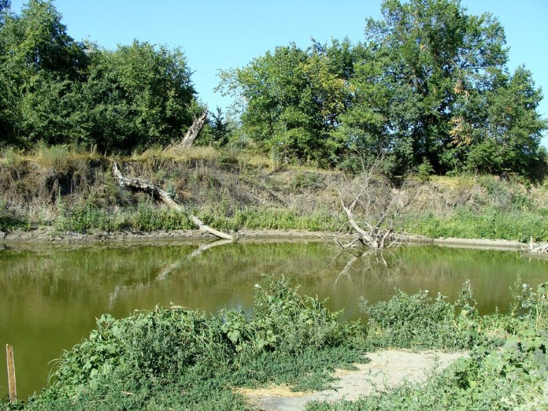 Переправа через реку сал в Ростовской области