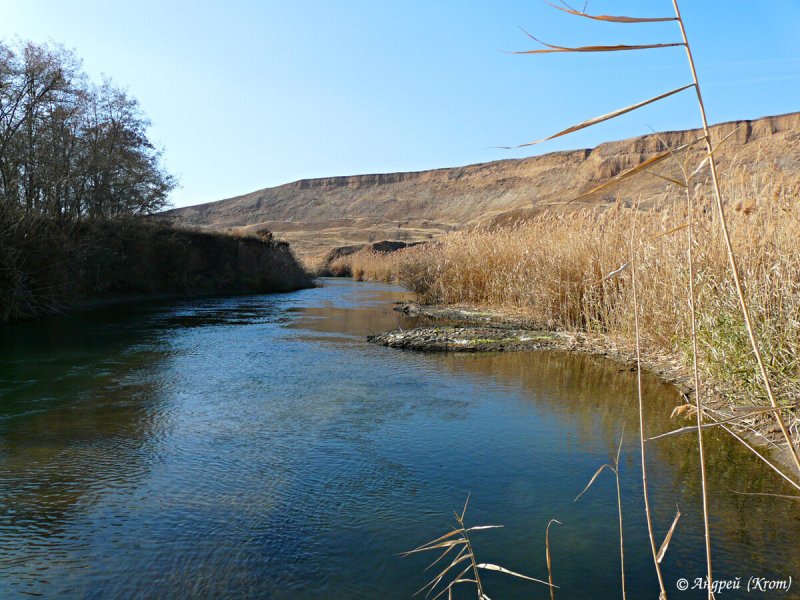 Река сал Ростовская область