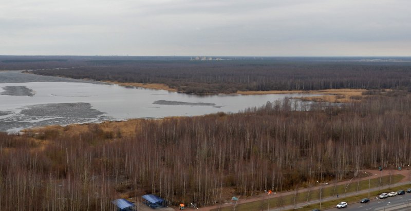 Петровский пруд (Приморский район)