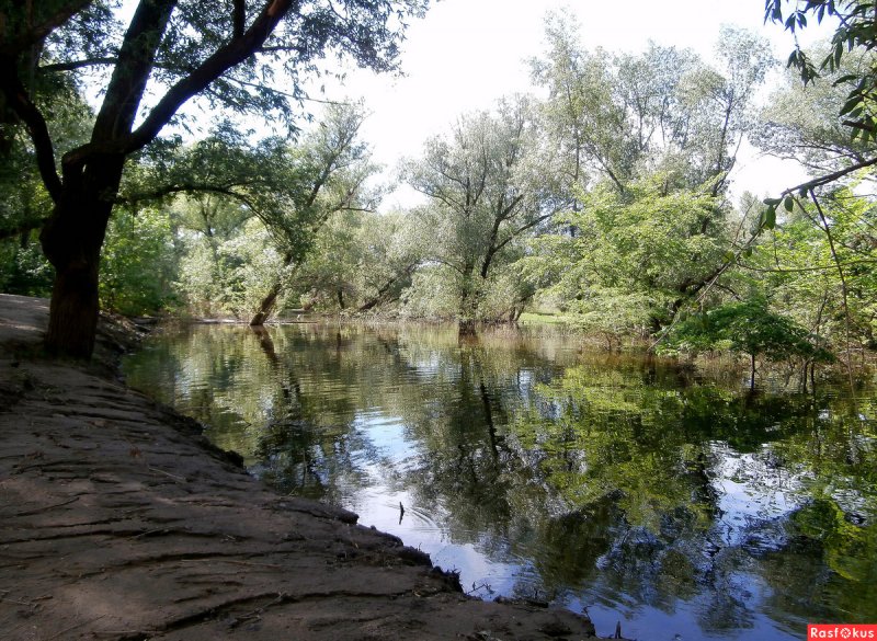 Река сухая Мечетка Волгоград