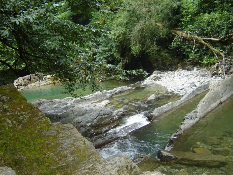 Самшитовые водопады Дагомыс