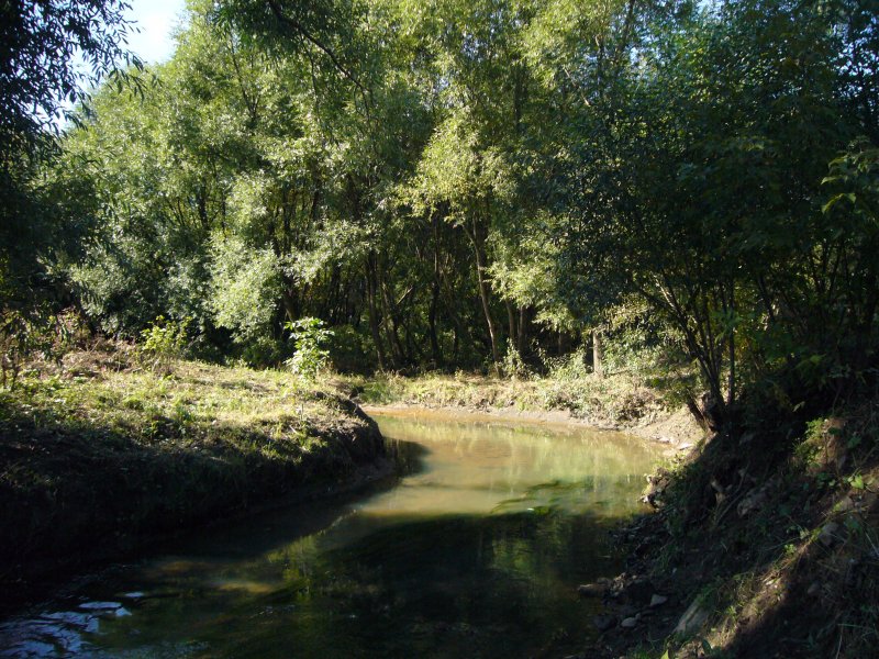 Река Дубинкинская Битцевский парк