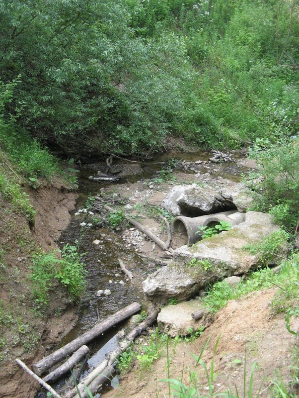 Река Чертановка Битцевский парк