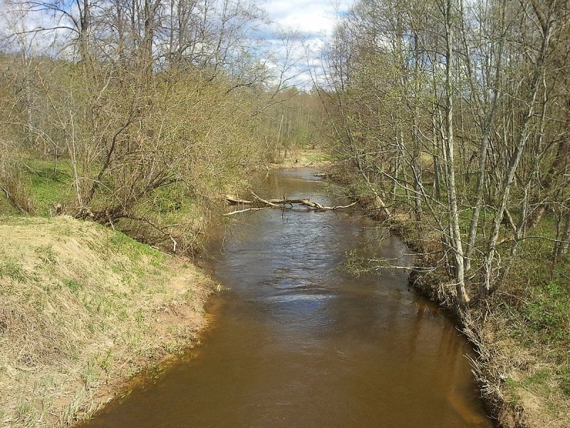 Река Лауцеса Латвия