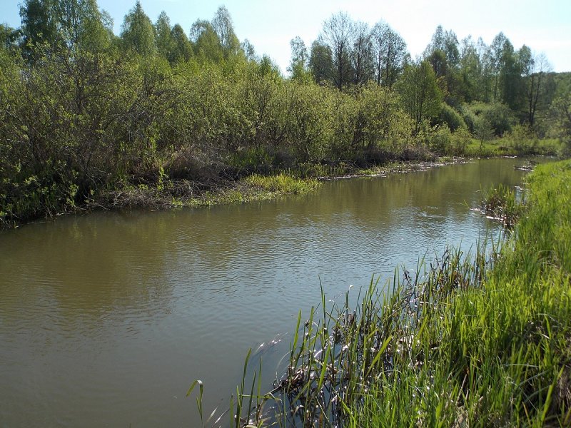 Река лужа в Малоярославце