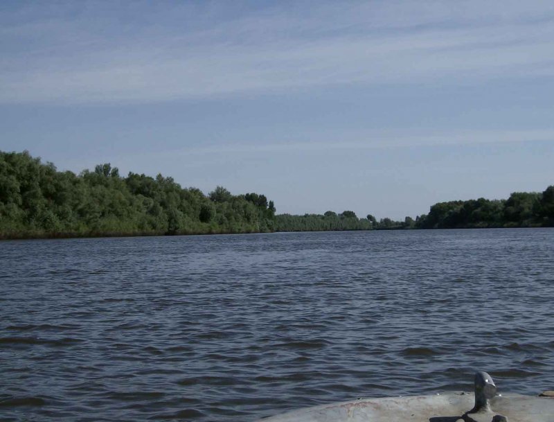 Мангут река Астраханская