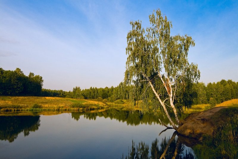 Природа с рекам и в России и березками