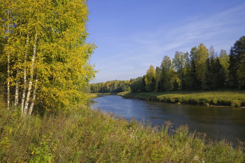 Река Березка Тверская область