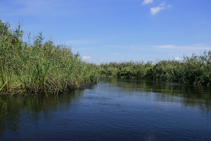 Река Вяница Волховский район