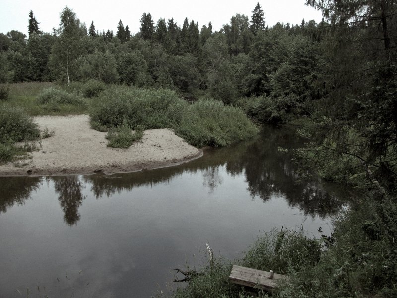 Река Куекша Костромской области