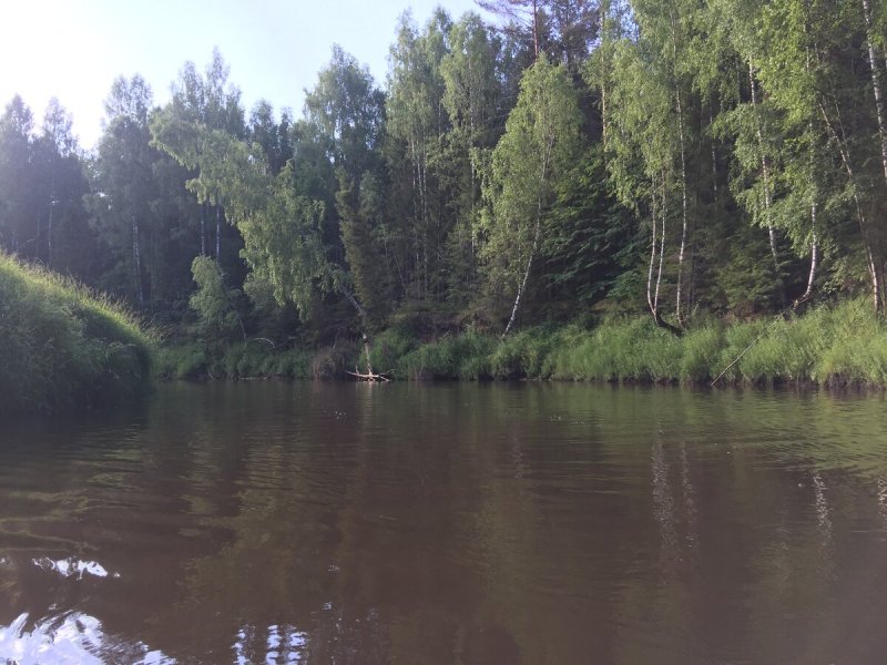 Река Шуя Костромская область