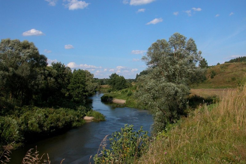 Река Цна Егорьевский район