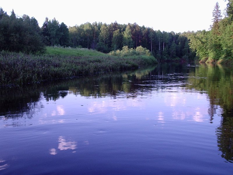 Река пижма Нижегородская область