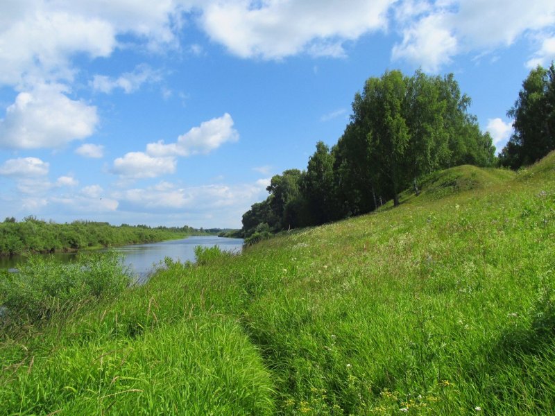 Река Цильма в Республике Коми