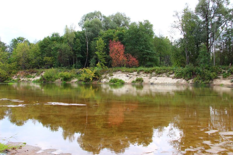 Река малая Кокшага