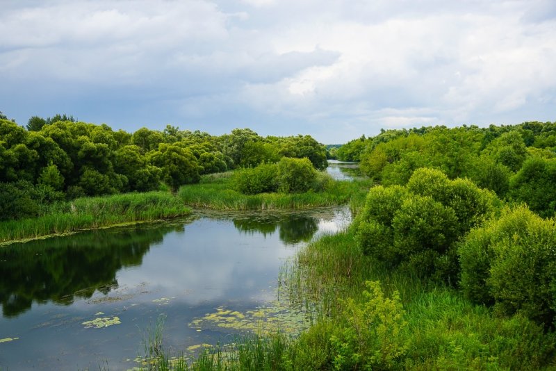 Река Ранова Рязанской области
