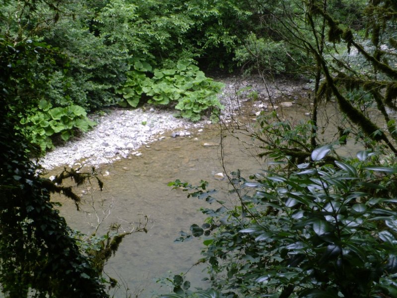 Река Хоста чертовы