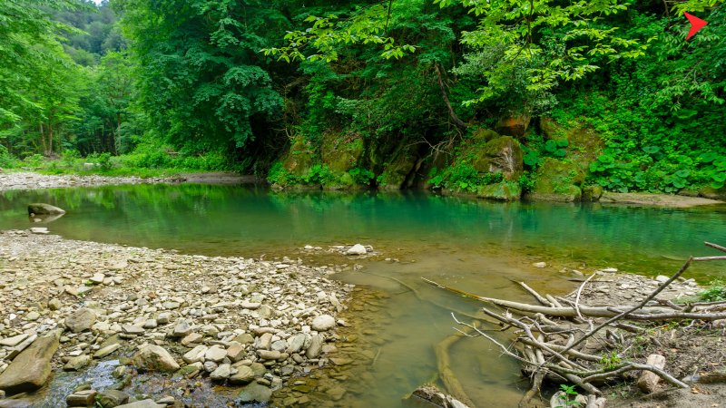 Река Шахе самшитовой роще