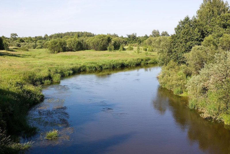 Река Узола Нижегородская область Городецкий район фото