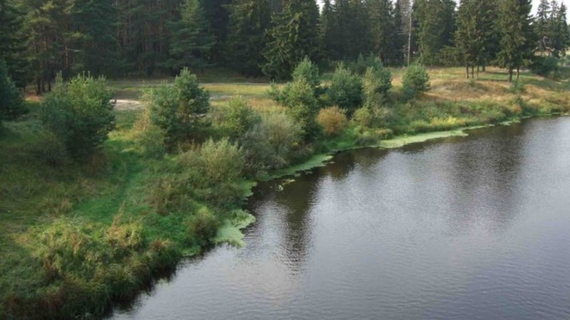 Река Узола Нижегородская область Городецкий район