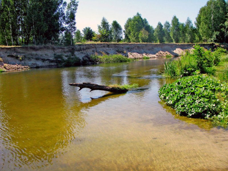 Река Узола Нижегородская область