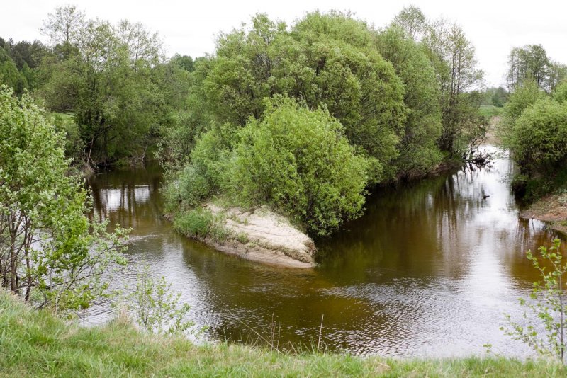 Река Узола Городецкий район