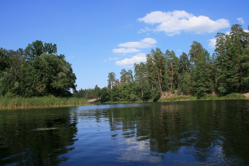 Устье реки Узола