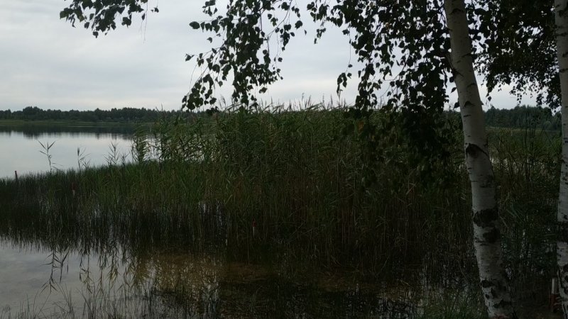 Река Щара Беларусь