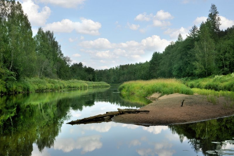 Река Сясь Ленинградская область