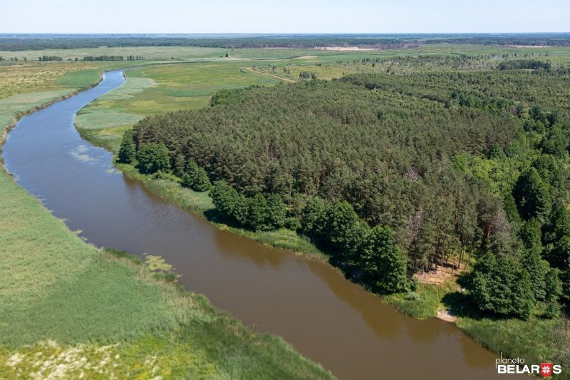 Ясельда река в Беларуси рыбалка