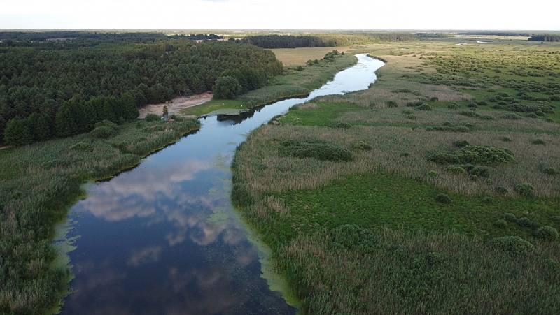 Ясельда река Беларусь