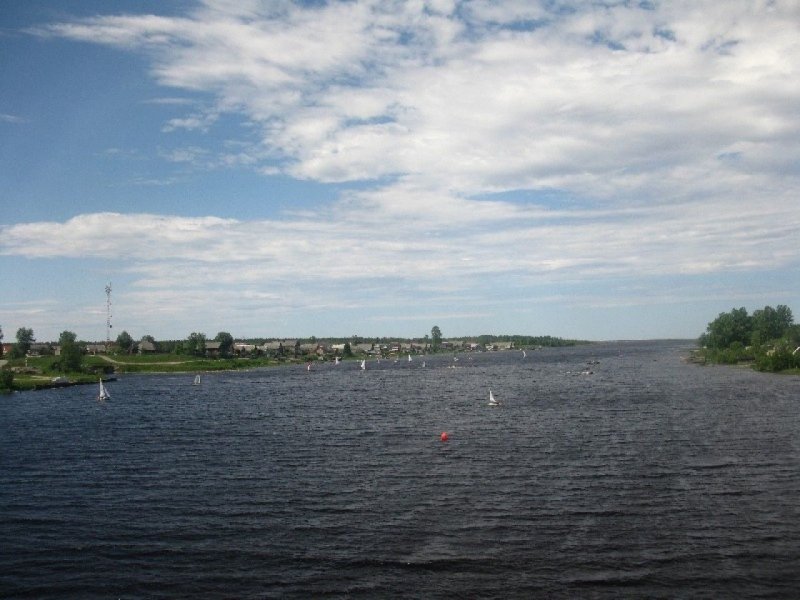 Река Сясь Новгородская область