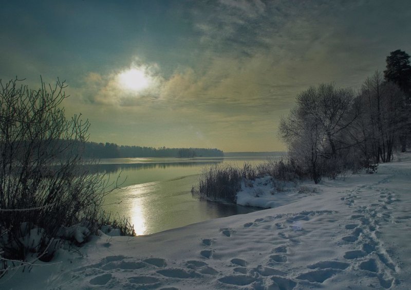 Зимняя ночь у реки