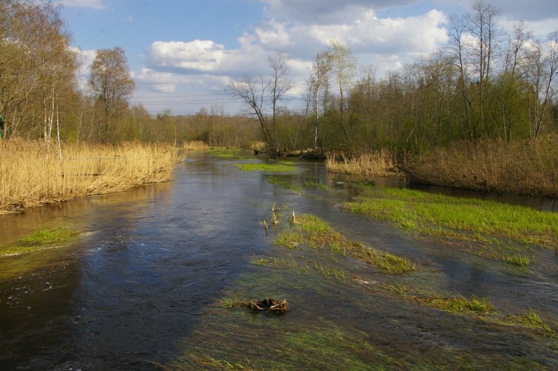 Река Оредеж деревня Батово