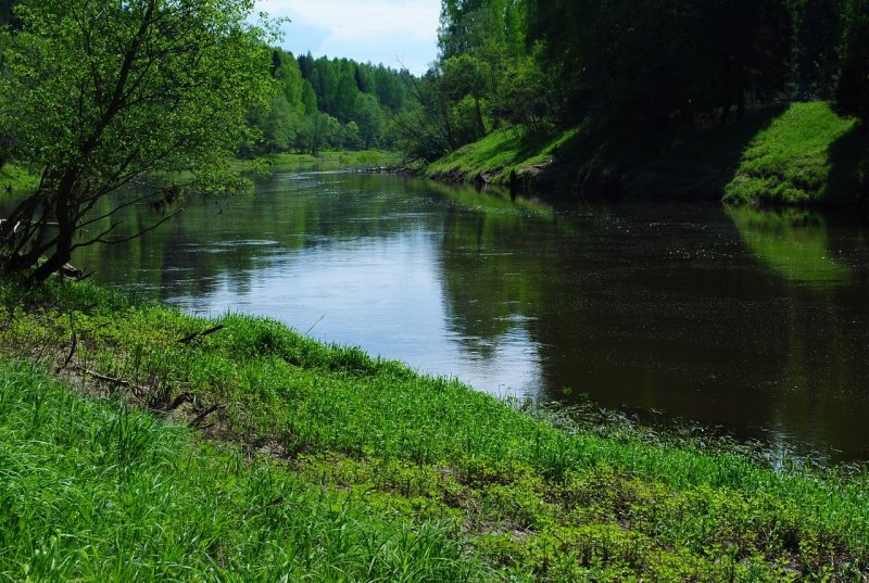 Река Которосль Гаврилов ям
