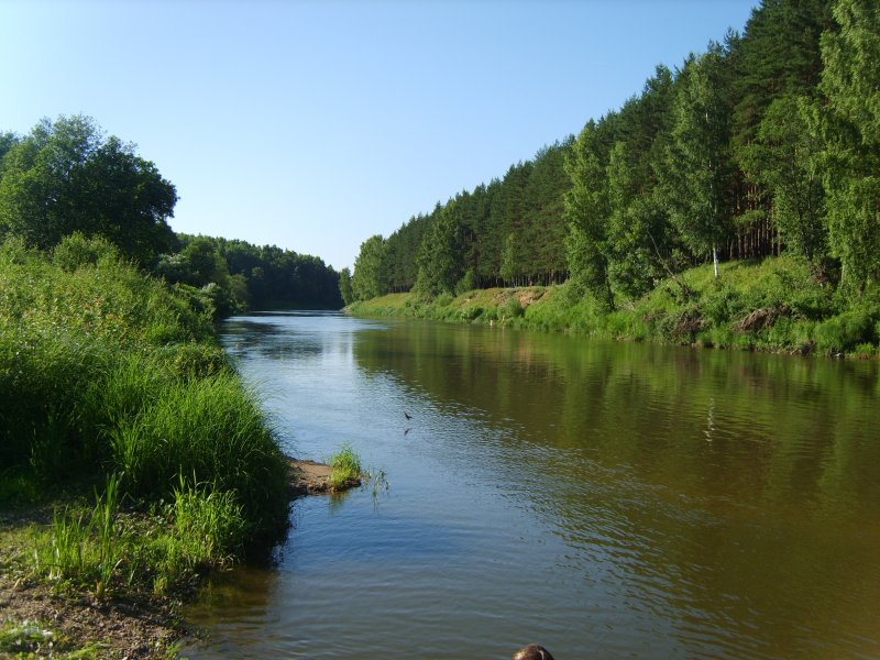Русло реки Которосль Ярославль