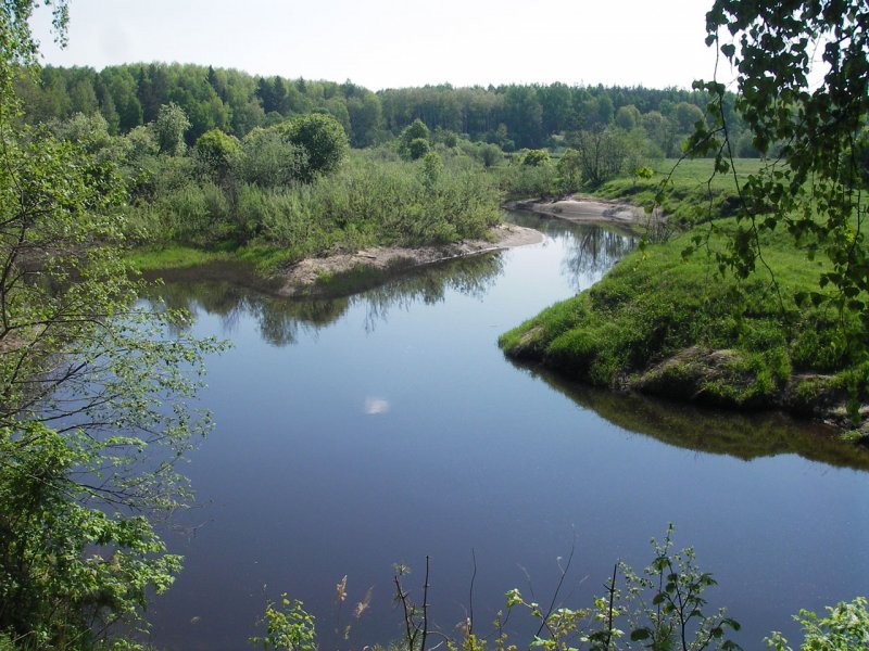 Река Лахость Гаврилов-Ямского района Ярославской области