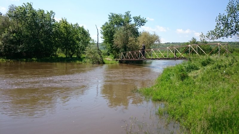 Река Крынка Ростовская область