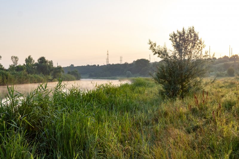 Река, нижняя Крынка, Донецкая область.